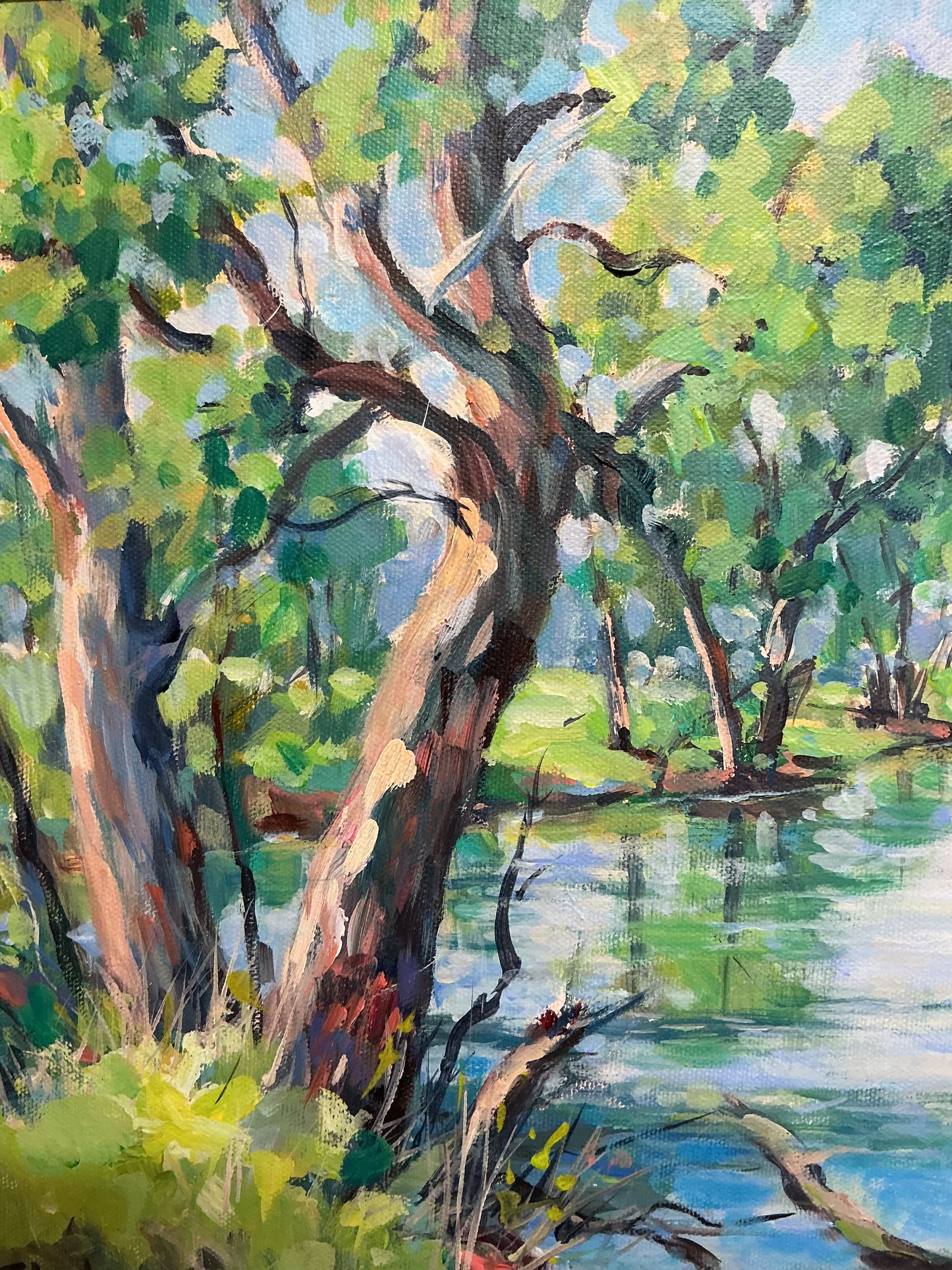 Condamine River, North Branch, Qld