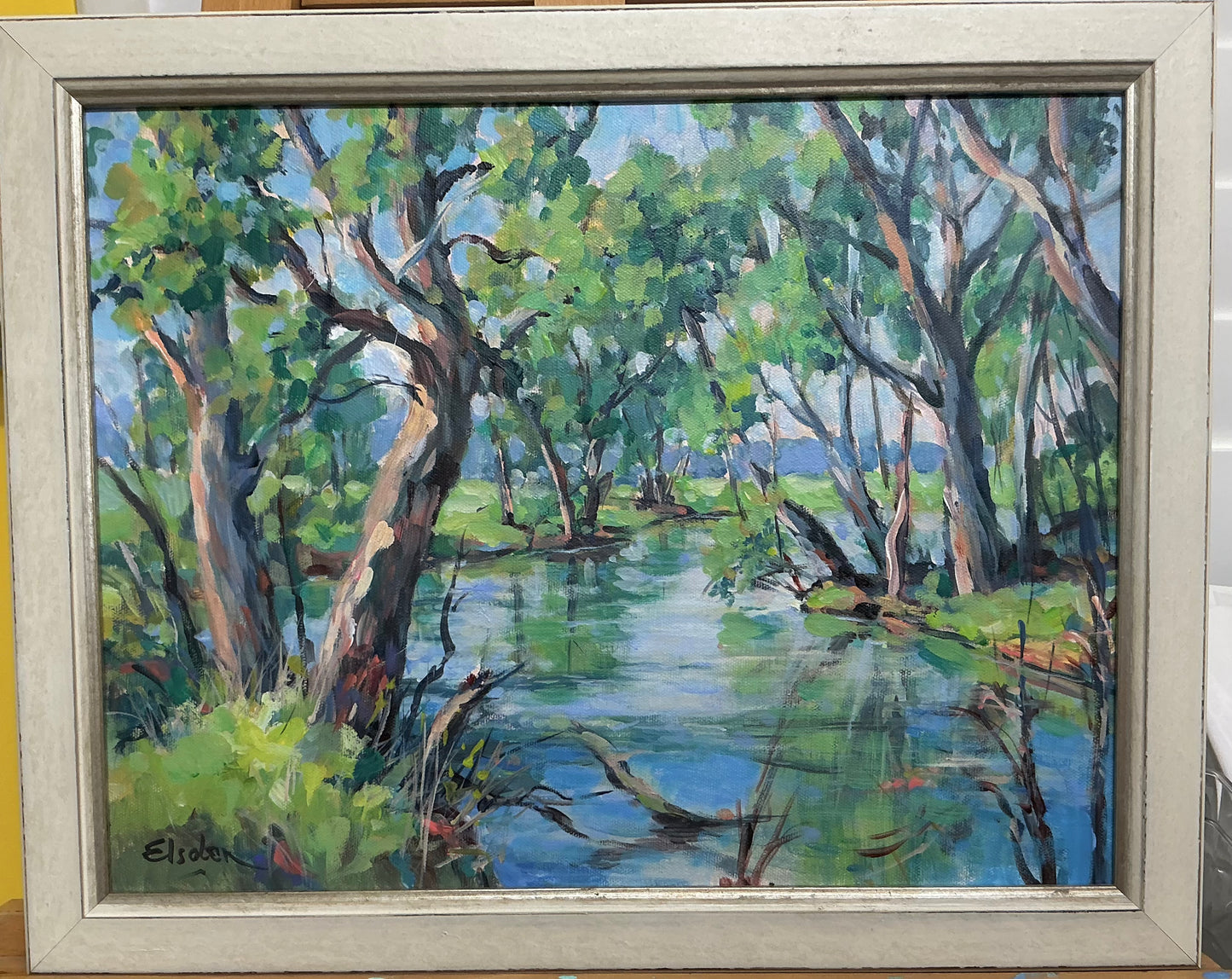 Condamine River, North Branch, Qld