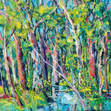 Spicers Peak, Scenic Rim Qld – creek reflections