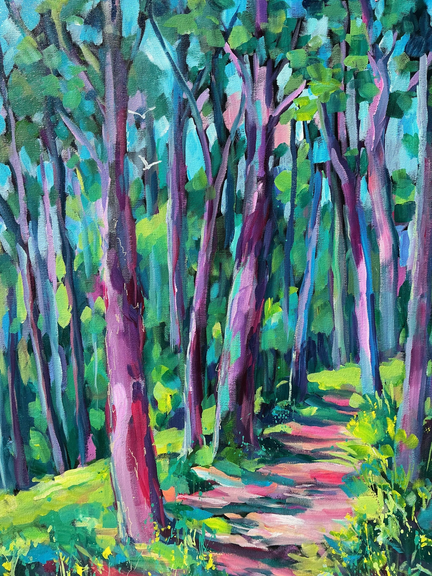 Spicers Peak, Scenic Rim Qld – hiking trail